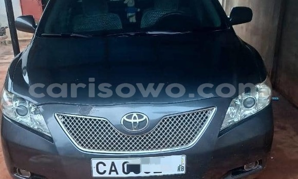 Mai様 8/30(金)「オンゲキちほー7」オープン！｜おしらせ｜maimai