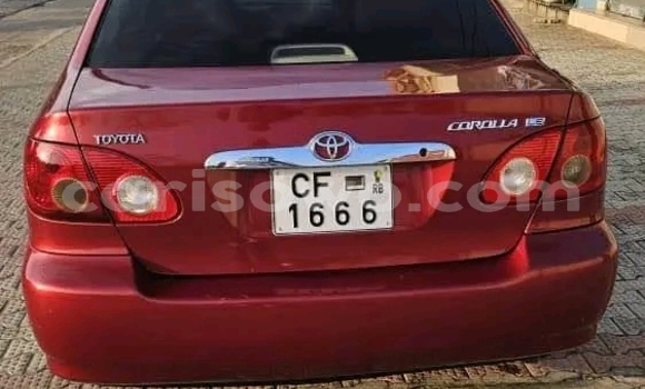 Buy Used Toyota Corolla Red Car in Cotonou in Benign