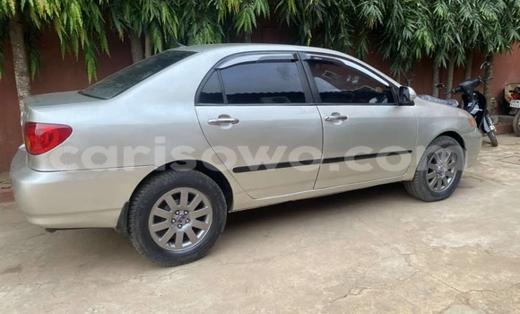 Acheter Occasion Voiture Toyota Corolla Gris à Cotonou, Benin Acheter Occasion Voiture Toyota Corolla Gris à Cotonou, Benin