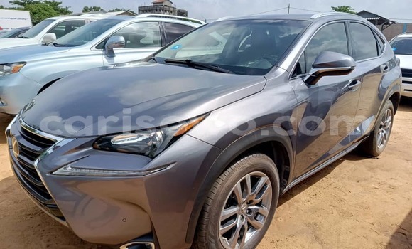 Sayi Na hannu Lexus NX Sauran Mota in Cotonou a Benin