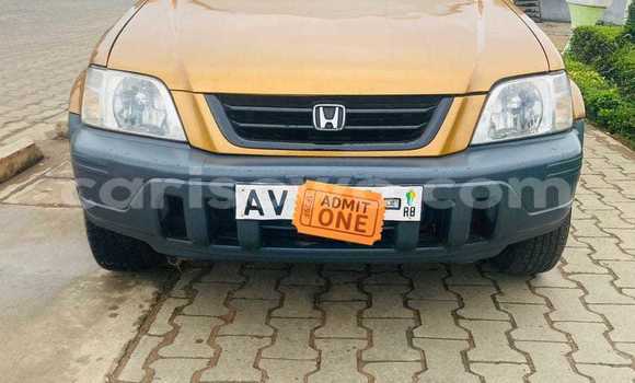 Buy Used Honda CR–V Beige Car in Cotonou in Benign