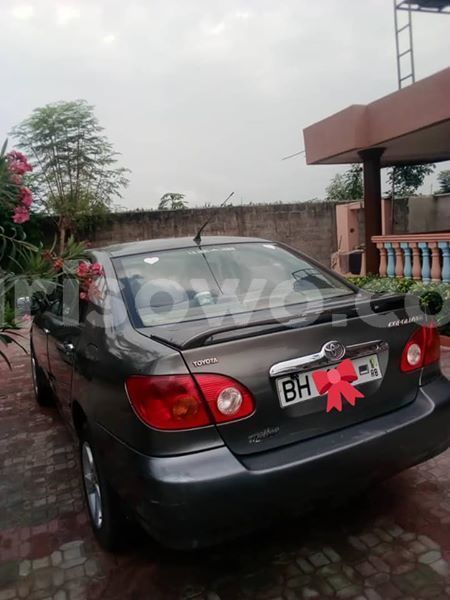 Big with watermark 53636756 201021894191808 1256730584978292736 n