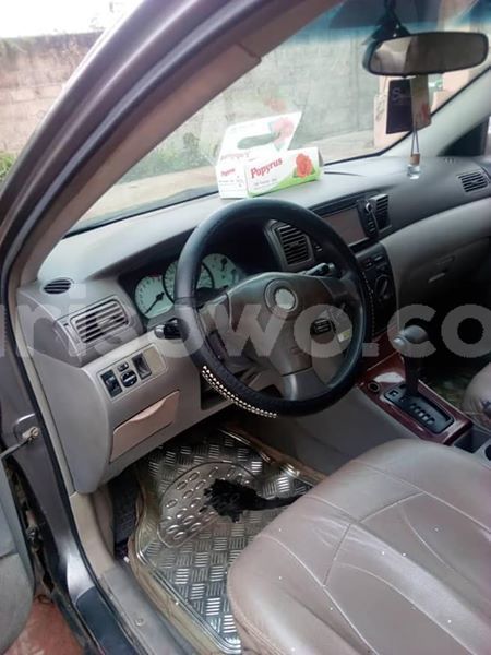 Big with watermark 53712328 201021927525138 2324897090456518656 n