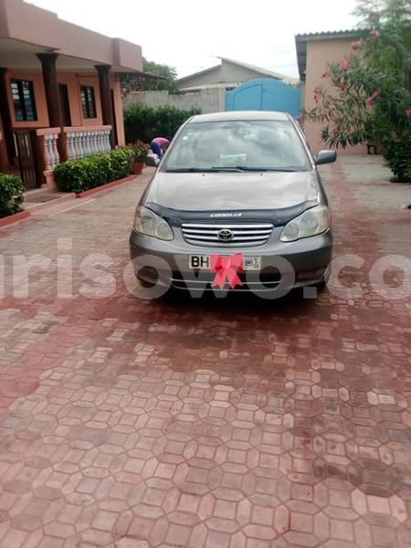 Big with watermark 53766687 201021970858467 5963441754102300672 n