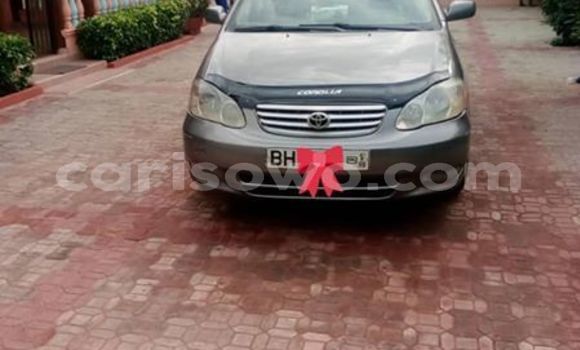 Acheter Occasion Voiture Toyota Corolla Autre à Cotonou, Benin Acheter Occasion Voiture Toyota Corolla Autre à Cotonou, Benin