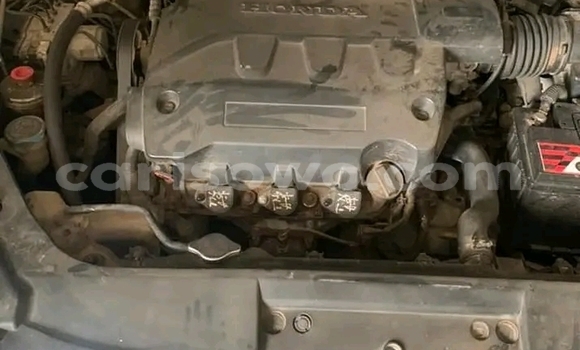 Sayi Na hannu Honda Crosstour Black Mota in Cotonou a Benin