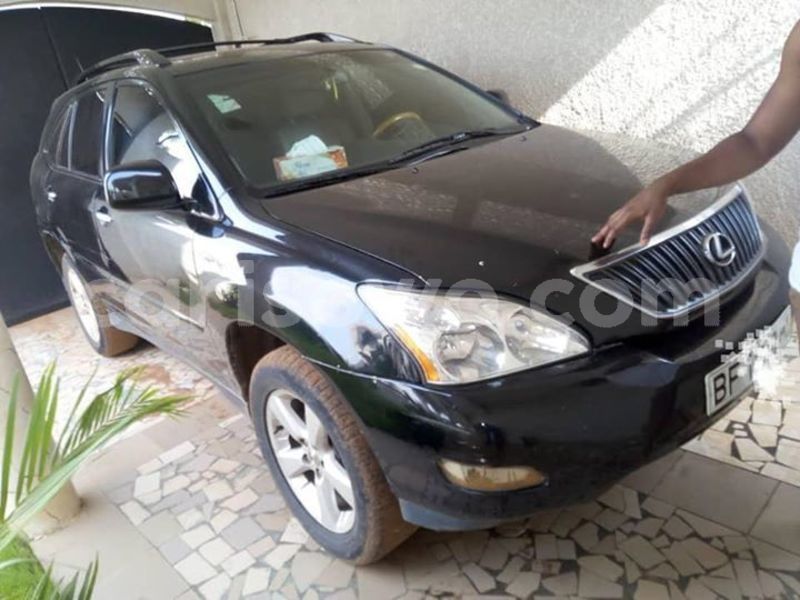 Big with watermark 52924211 198146651145999 3762207543875600384 n