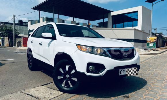 Buy Used Kia Sportage White Car in Cotonou in Benign Buy Used Kia Sportage White Car in Cotonou in Benign