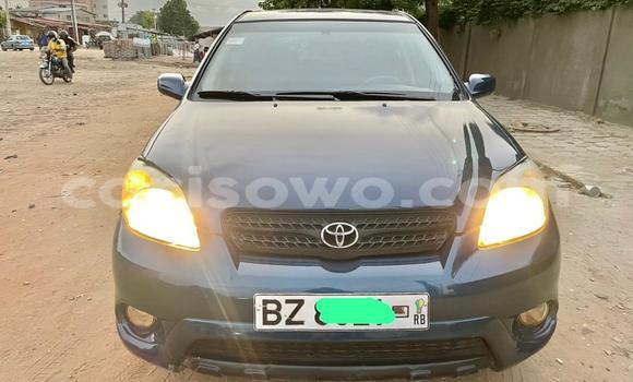 ☺︎ how much normal size kitsune? SEEDS GARDEN SELL 青華 Kitsune