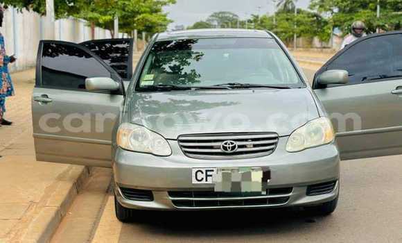 Sayi Na hannu Toyota Corolla Azurfa Mota in Cotonou a Benin