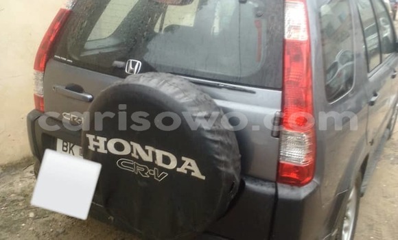 Ra Àlòkù Honda CR–V Silver Ọkọ̀ in Cotonou ni Benin