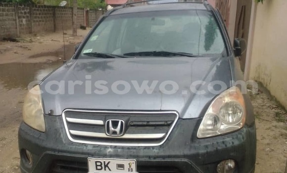 Acheter Occasion Voiture Honda CR–V Gris à Cotonou, Benin Acheter Occasion Voiture Honda CR–V Gris à Cotonou, Benin