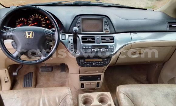 Ra Àlòkù Honda Odyssey Alagara Ọkọ̀ in Cotonou ni Benin Ra Àlòkù Honda Odyssey Alagara Ọkọ̀ in Cotonou ni Benin