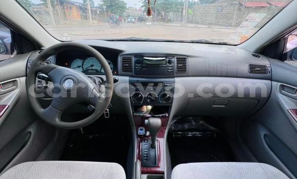 Ra Àlòkù Toyota Corolla Silver Ọkọ̀ in Cotonou ni Benin Ra Àlòkù Toyota Corolla Silver Ọkọ̀ in Cotonou ni Benin