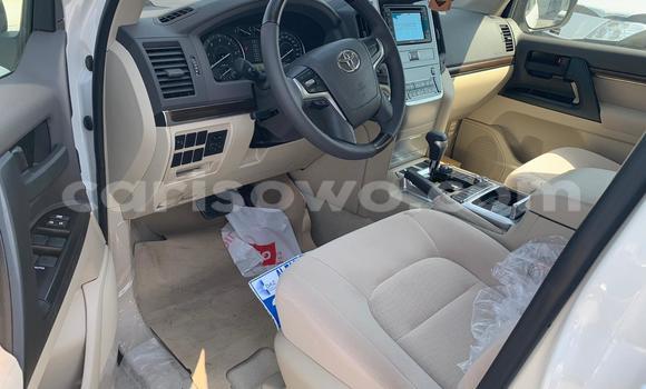 Buy New Toyota Land Cruiser White Car in Porto Novo in Benign Buy New Toyota Land Cruiser White Car in Porto Novo in Benign
