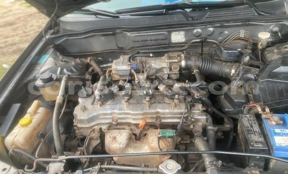 Buy Used Nissan Almera Brown Car in Cotonou in Benign Buy Used Nissan Almera Brown Car in Cotonou in Benign
