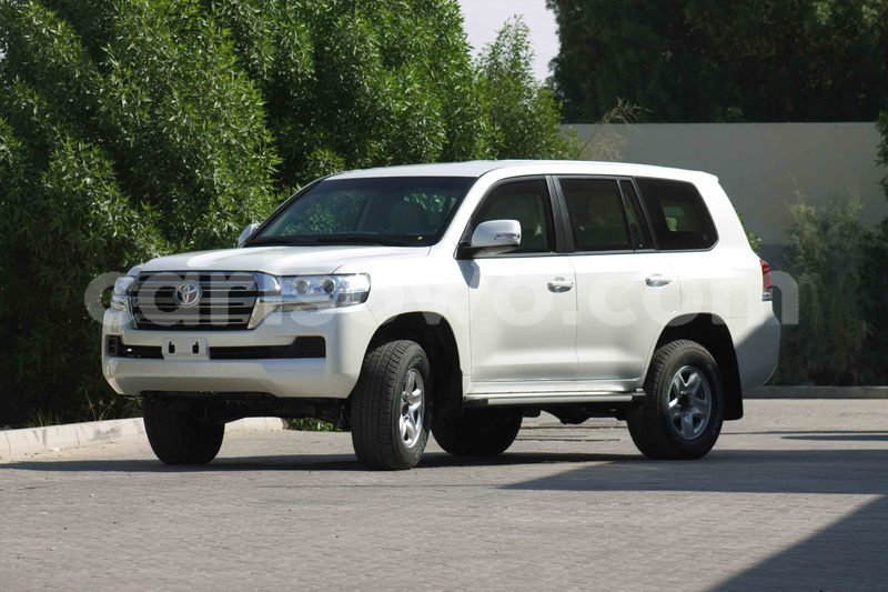 Big with watermark img 5906 copy