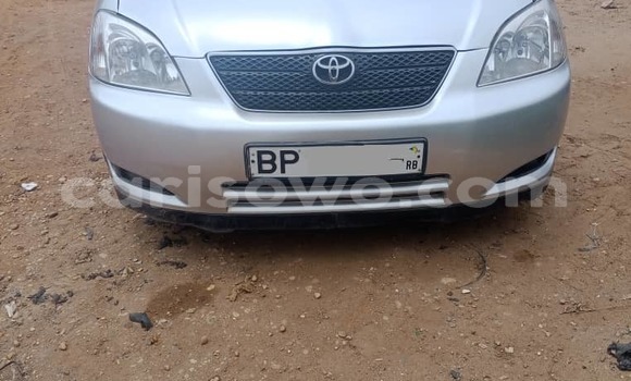 Acheter Occasion Voiture Toyota Corolla Gris à Cotonou, Benin Acheter Occasion Voiture Toyota Corolla Gris à Cotonou, Benin