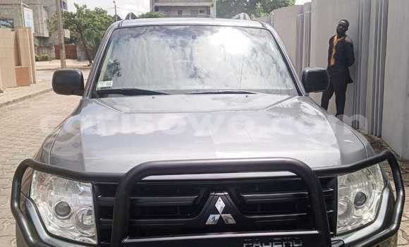 Acheter Occasion Voiture Mitsubishi Pajero Gris à Cotonou, Benin