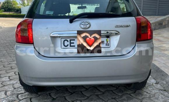 Acheter Occasion Voiture Toyota Corolla Gris à Cotonou, Benin
