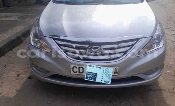 Ra Àlòkù Hyundai Sonata Silver Ọkọ̀ in Cotonou ni Benin