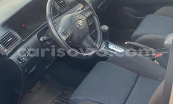 Acheter Occasion Voiture Toyota Corolla Gris à Cotonou, Benin Acheter Occasion Voiture Toyota Corolla Gris à Cotonou, Benin