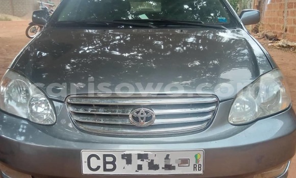 Acheter Occasion Voiture Toyota Corolla Gris à Cotonou, Benin