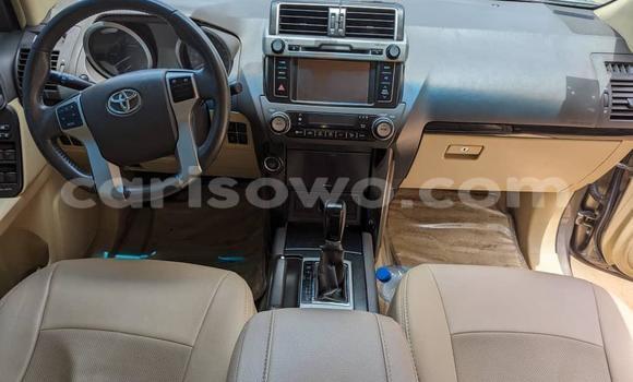Acheter Occasion Voiture Toyota Prado Marron à Cotonou, Benin Acheter Occasion Voiture Toyota Prado Marron à Cotonou, Benin