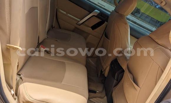 Acheter Occasion Voiture Toyota Prado Marron à Cotonou, Benin Acheter Occasion Voiture Toyota Prado Marron à Cotonou, Benin