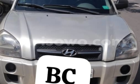 Acheter Occasion Voiture Hyundai Tucson Gris à Cotonou, Benin