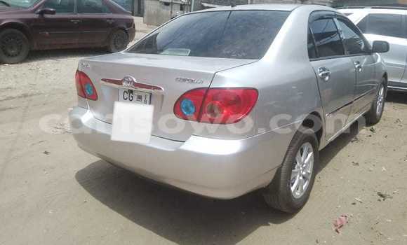 Acheter Occasion Voiture Toyota Corolla Gris à Cotonou, Benin Acheter Occasion Voiture Toyota Corolla Gris à Cotonou, Benin