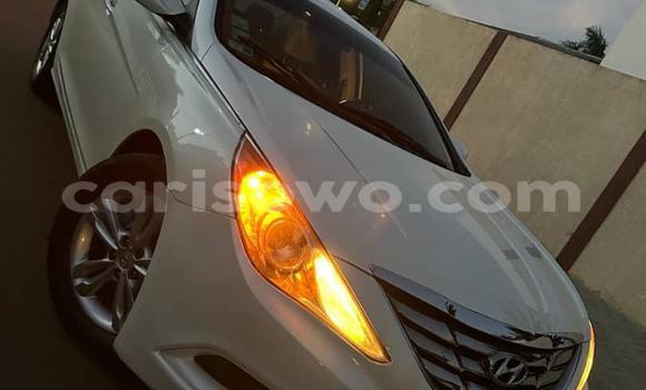 Sayi Na hannu Hyundai Sonata White Mota in Cotonou a Benin Sayi Na hannu Hyundai Sonata White Mota in Cotonou a Benin