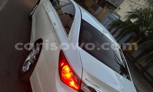 Sayi Na hannu Hyundai Sonata White Mota in Cotonou a Benin Sayi Na hannu Hyundai Sonata White Mota in Cotonou a Benin