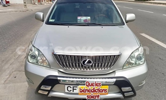 Buy Used Lexus RX 330 Silver Car in Cotonou in Benign