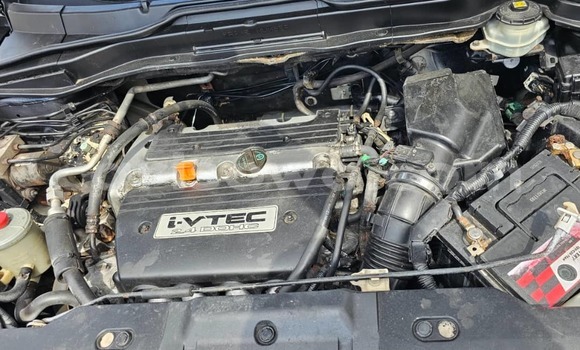 Acheter Occasion Voiture Honda CR–V Blanc à Cotonou, Benin Acheter Occasion Voiture Honda CR–V Blanc à Cotonou, Benin