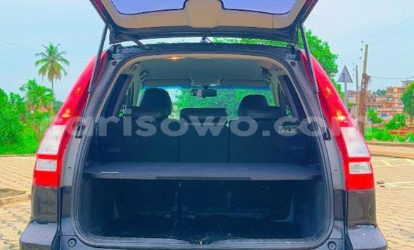 Acheter Occasion Voiture Honda CR–V Autre à Porto Novo, Benin Acheter Occasion Voiture Honda CR–V Autre à Porto Novo, Benin