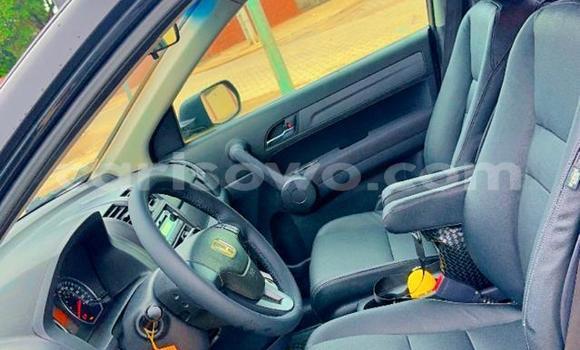 Acheter Occasion Voiture Honda CR–V Autre à Porto Novo, Benin Acheter Occasion Voiture Honda CR–V Autre à Porto Novo, Benin
