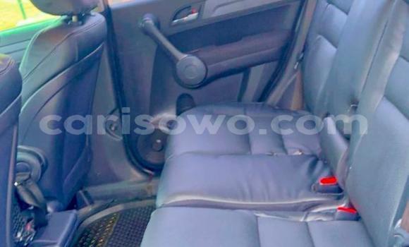 Acheter Occasion Voiture Honda CR–V Autre à Porto Novo, Benin Acheter Occasion Voiture Honda CR–V Autre à Porto Novo, Benin