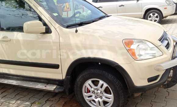 Ra Àlòkù Honda CR–V funfun Ọkọ̀ in Cotonou ni Benin Ra Àlòkù Honda CR–V funfun Ọkọ̀ in Cotonou ni Benin