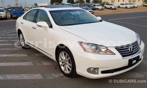 Acheter Import Voiture Lexus ES Blanc à Import - Dubai, Benin Acheter Import Voiture Lexus ES Blanc à Import - Dubai, Benin