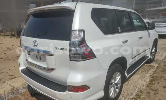 Acheter Occasion Voiture Lexus RX Blanc à Cotonou, Benin Acheter Occasion Voiture Lexus RX Blanc à Cotonou, Benin