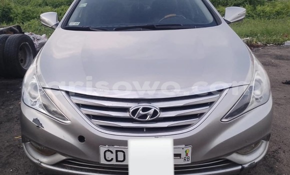 Acheter Occasion Voiture Hyundai Sonata Gris à Cotonou, Benin