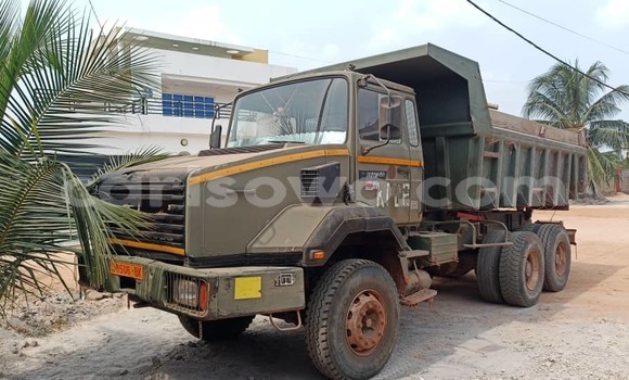 Sayi Na hannu Renault Titan Green Babbar mota in Cotonou a Benin