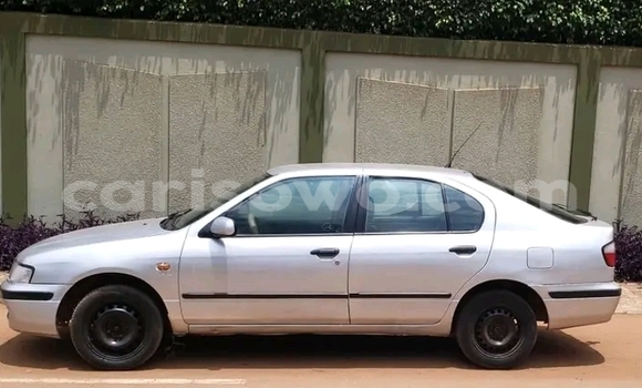 Acheter Occasion Voiture Nissan Primera Autre à Cotonou, Benin Acheter Occasion Voiture Nissan Primera Autre à Cotonou, Benin