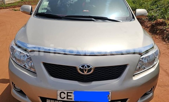 Ra Àlòkù Toyota Corolla funfun Ọkọ̀ in Cotonou ni Benin