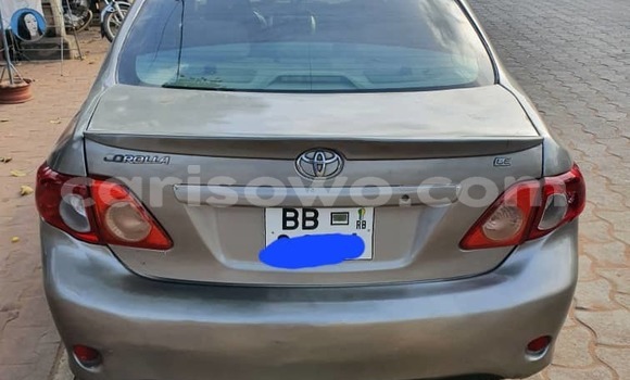Buy Used Toyota Corolla Brown Car in Cotonou in Benign