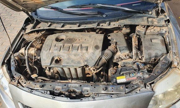 Ra Àlòkù Toyota Corolla Brown Ọkọ̀ in Cotonou ni Benin Ra Àlòkù Toyota Corolla Brown Ọkọ̀ in Cotonou ni Benin