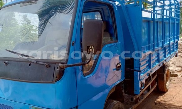 Sayi Na hannu Toyota Dyna Blue Babbar mota in Cotonou a Benin