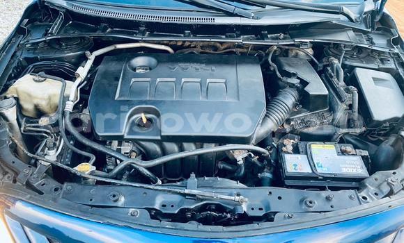 Ra Àlòkù Toyota Corolla Blue Ọkọ̀ in Cotonou ni Benin Ra Àlòkù Toyota Corolla Blue Ọkọ̀ in Cotonou ni Benin