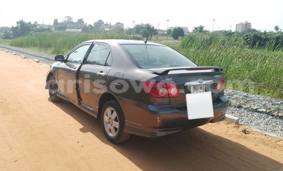 Buy Used Toyota Corolla Spacio Brown Car in Cotonou in Benign Buy Used Toyota Corolla Spacio Brown Car in Cotonou in Benign